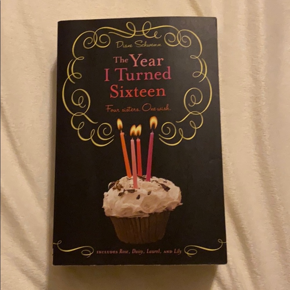 The Year I Turned Sixteen (book)